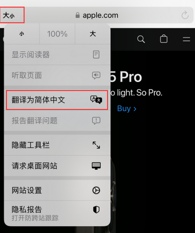 在 iPhone 上使用 Safari 浏览器翻译网页