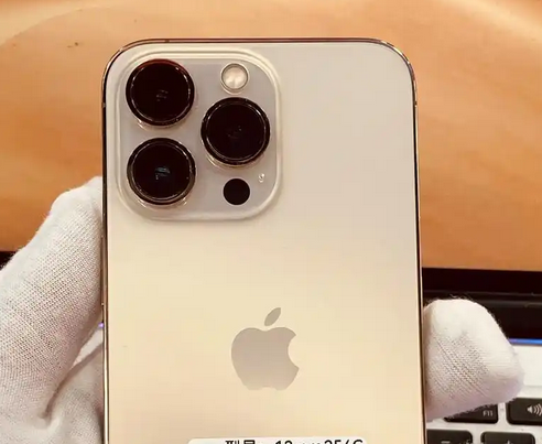 澄海苹果13维修中心分享如何在iPhone13上设置动态壁纸 澄海苹果13维修中心分享如何在iPhone13上设置动态壁纸
